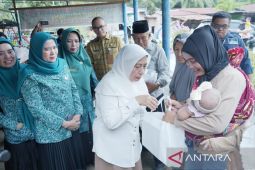 Wakil Ketua PKK Sumut dan Ketua PKK Asahan kunjungi posyandu dan paud