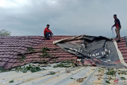 BPBD OKU evakuasi pohon tumbang yang timpa rumah warga