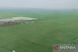 Wamentan Sudaryono apresiasi Pemkab Karawang jaga areal sawah dari alih fungsi