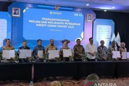 BSG dapat kuota salurkan KUR Rp160 miliar tahun 2025
