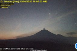 Semeru tujuh kali erupsi, tinggi letusan hingga 900 meter