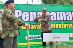 Babel targetkan tanam 700 pohon per hari