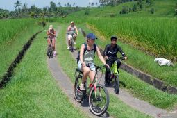 Dokter spesialis: Olahraga aerobik teratur baik untuk kesehatan jantung
