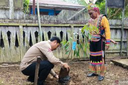 DPMPD Kaltim genjot ekonomi inklusif masyarakat adat Dayak Wehea
