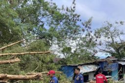 BMKG imbau masyarakat waspadai potensi cuaca buruk di Maluku selama sepekan