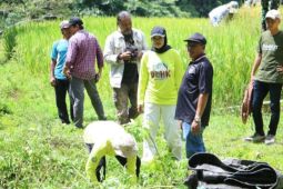 Pemkab Bulukumba tanam pohon sukun di DAS Balantieng