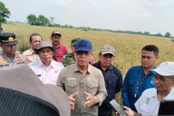Utusan Khusus Presiden dukung petani terapkan pertanian organik hewani
