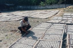Perajin kerupuk di Lebak mampu tumbuhkan ekonomi masyarakat