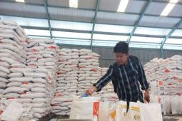 Bulog Sulawesi Tengah gencar serap gabah petani
