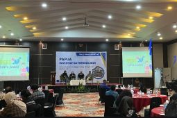 BEI Papua sebut diversifikasi kunci investasi berkelanjutan