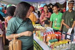 DKLH Papua sebut PNBP capai Rp50 miliar selama 2024