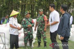 Bulog apresiasi peran aktif TNI kawal panen petani di Bekasi