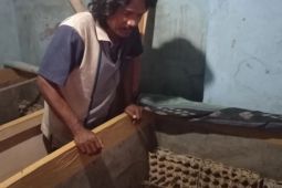 Usaha penangkaran jangkrik di Lebak bermunculan