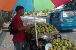 Pedagang buah mangga musiman raup keuntungan jutaan rupiah