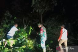 BPBD OKU pindahkan  pohon tumbang di tiga titik lokasi
