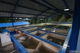 Dinas PUPR Manado selesaikan SPAM Lotta tingkatkan air bersih