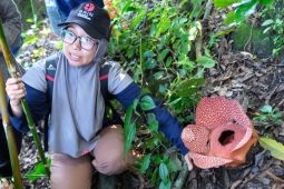 BRIN dorong masyarakat di Jatim aktif konservasi bunga bangkai