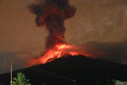 BNPB: Penetapan status darurat erupsi Lewotobi harus fleksibel