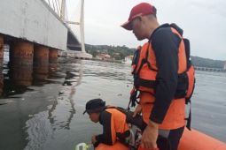 Tim SAR cari perempuan yang lompat di jembatan Teluk Kendari