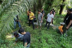 Penyabu buang barbut di kolam, Polisi kewalahan menguras air