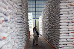 BPS perkirakan produksi beras Januari-Juni 2025 capai 18,76 juta ton