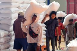 Satu harga gabah dan tantangan regulasi pangan