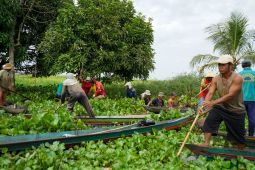 Camat LAU kerahkan warga gotong-royong bersihkan sungai tertutup sampah