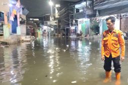 BPBD DKI sebut satu RT di Pluit terendam banjir rob pada Selasa pagi