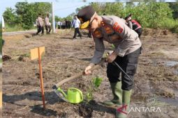 Polda Babel lakukan penghijauan lahan kritis seluas 18 hektare