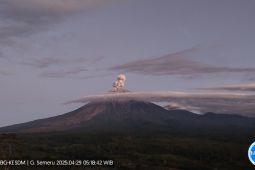 Semeru alami erupsi dengan letusan setinggi 900 meter di atas puncak
