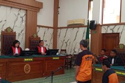 Tiga terdakwa penanam ganja di lereng Semeru divonis 20 tahun penjara