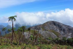 Balai TN Manusela  tutup sementara wisata Gunung Binaiya di Maluku