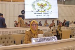 Wagub Hellyana sebut kinerja Pemprov Babel meningkat