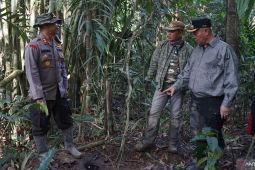 Sigi terapkan jam malam cegah aktivitas tambang ilegal