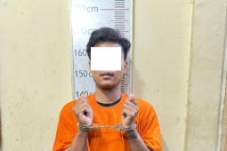 Polres Langkat tangkap 85 pelaku narkoba selama tiga bulan berjalan