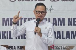 Wamendagri ingatkan pemda perhatikan dua poin sebelum bentuk Dinas Ekraf