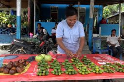 Pemprov harap dana Otsus Papua tahap pertama segera cair