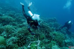 Pemprov Maluku  ekspedisi perlindungan sumber daya laut di Kepulauan TNS