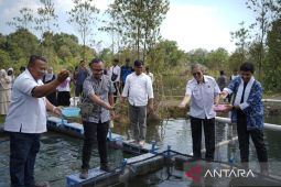 GoTo impact foundation manfaatkan lahan bekas tambang dukung ekonomi biru di Belitung