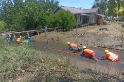 PLN rawat jaringan listrik di Desa Sepuk Laut