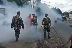 Dinkes Situbondo: Kasus demam berdarah menurun