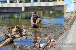 Honorer Situbondo belum terima upah Januari-April 2025
