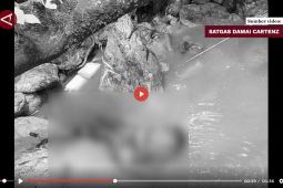 11 pendulang emas tewas di Yahukimo oleh KKB Elkius Kobak - VIDEO