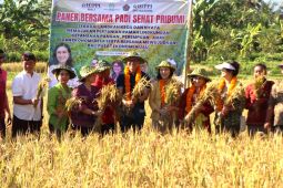 Wamen PPPA panen padi bersama masyarakat di Buleleng