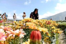 Balai Taman Nasional Gunung Rinjani blacklist 52 pendaki