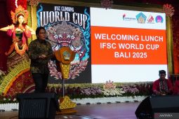 Wagub jadikan Piala Dunia Panjat Tebing 2025 untuk promosikan wisata Bali
