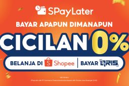 Panduan SPayLater: tips aman, cara aktifkan hingga bayar tagihan