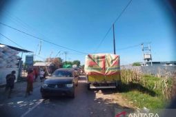 Bulog serap 10.000 ton jagung petani Dompu mulai hari ini