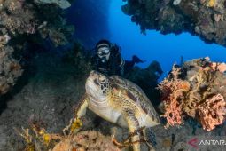 Bobocabin Bunaken Hills bantu wisatawan menikmati pariwisata Sulut