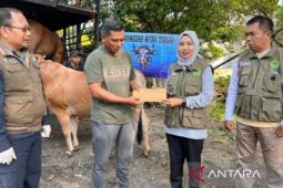 DKPP Pamekasan periksa kesehatan sapi kurban